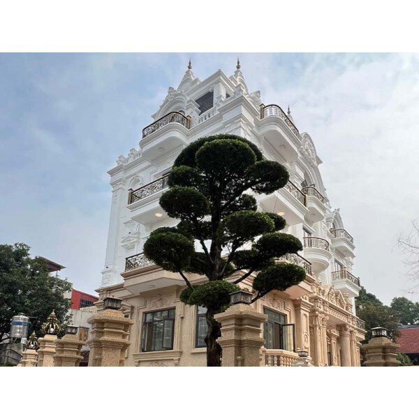 Dự án điều hòa trung tâm cho lâu đài gia đình anh Chuyển Bắc Ninh
